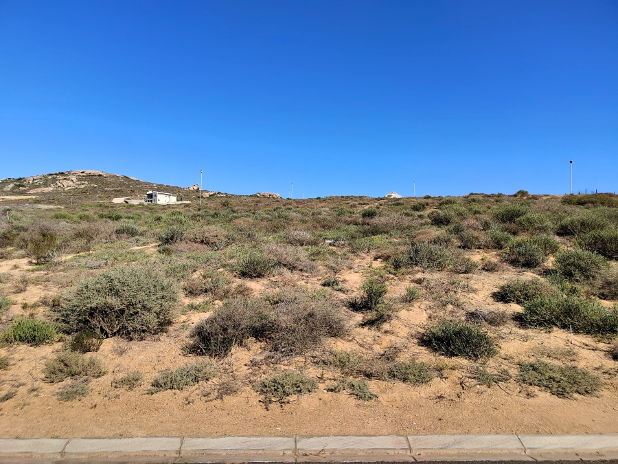 0 Bedroom Property for Sale in Steenbergs Cove Western Cape